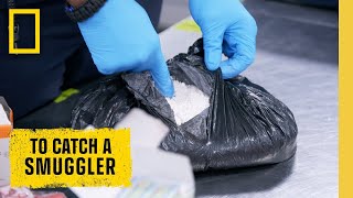 🔴 LIVE Cocaine Contraband and Cartel Money To Catch a Smuggler  S3 FULL EPISODES  NatGeo [upl. by Westland]