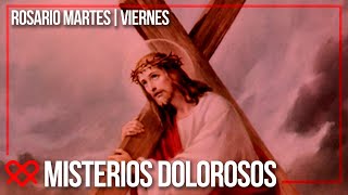 Misterios Dolorosos  Santo Rosario 🙏 Adri Duque [upl. by Encratis]