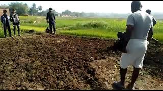 weeder power tiller  weeder for agriculture  weeder tiller demo [upl. by Raina743]