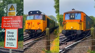 Class 50s Railtour and Class 73 at Goodhews Footpath Level Crossing Kent [upl. by Kallista256]