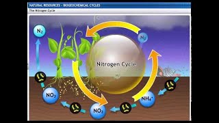 Biogeochemical Cycles For class 9 [upl. by Leta]