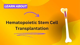 Hematopoietic Stem Cell Transplantation [upl. by Creigh490]