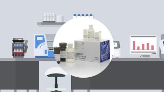 Meet the MagMAX CORE Nucleic Acid Extraction Kit [upl. by Newhall13]