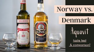 What Does Aquavit Taste Like  AQUAVIT TASTE TEST [upl. by Forelli]