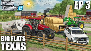 STARTING A CATTLE BUSINESS ON THE FARM  Big Flats Texas  Farming Simulator 22  Episode 3 [upl. by Bannasch320]