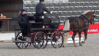 03 William  Hengst Leistungsprüfung Ziehen und Fahren für Kaltblutpferde in Marbach [upl. by Akimad624]