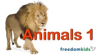 Kids Bible Videos  Animals Part 1  Freedom Kids [upl. by Fia]