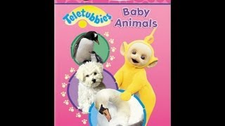 Teletubbies Baby Animals [upl. by Nisay798]