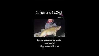 15kg Zander [upl. by Lettie]