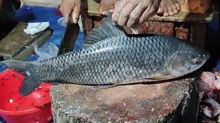 Desire to Master Fish Cutting Learn from an Expert Big Rohu Fish Skinning amp Chopping [upl. by Fleming]