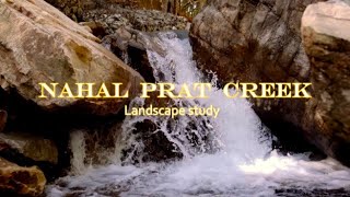 Nahal Prat creek [upl. by Huberto]