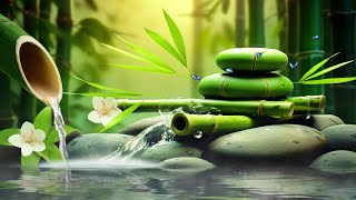 Relaxing Sleep Music  Insomnia Stress Relief Relax Sleep Spa amp Meditation Music Heart Healing [upl. by Mailand]