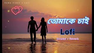 তোমাকে চাই । Tomake chai । Lofi slowed  reverb । Arijit Singh ।। [upl. by Ebag]