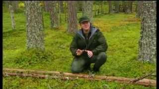 RAY MEARS FOUR SEASONS IN BRITAIN [upl. by Eiwoh]