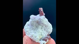 Red Tantalite Crystals  TantaliteSpecimen  ManganoTantalite [upl. by Jaan]