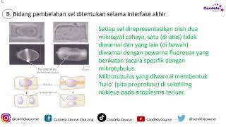 LATIHAN SOAL OSN K Biologi 2024 4 [upl. by Iem]