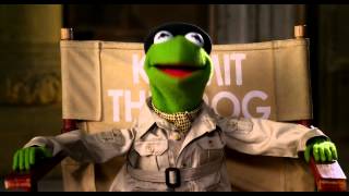 Kermit The Frog 10 Day Countdown  Muppets Most Wanted  The Muppets [upl. by Enael]