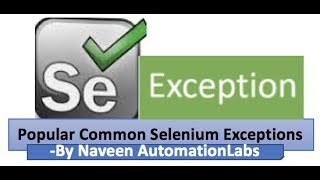 Popular Common Selenium Exceptions [upl. by Care]