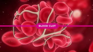 Coagulation Cascade Explained [upl. by Aonehc]