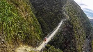 Stairway to Heaven  Paekakariki Escarpment Track New Zealand [upl. by Oxford]