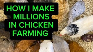 CHICKEN FARMING HAS MONEY 💰 COROBE FARM UPDATES poultryfarming [upl. by Constantino453]