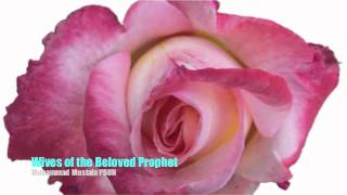 Wives of the prophet Muhammad PBUH Part 2 [upl. by Ailongam]