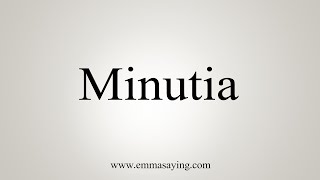 How To Say Minutia [upl. by Falo144]