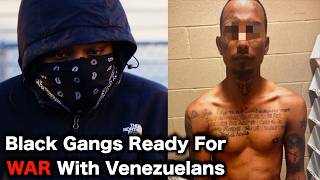 Chicago Gangs DECLARE WAR On Migrants [upl. by Asiluj247]