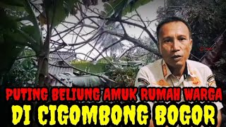 Puting Beliung Amuk Rumah Warga di Cigombong Bogor [upl. by Quartas693]