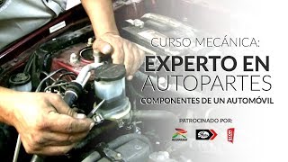 Curso Completo Mecánica Aire Acondicionado Automotriz [upl. by Annah901]