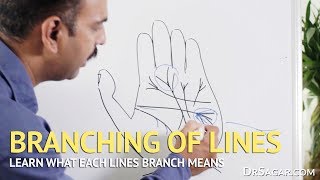 Branching of Lines in Hand  Palmistry [upl. by Darda]