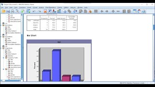 HOW TO ANALYZE QUANTITATIVE DATA USING SPSS [upl. by Alyad]