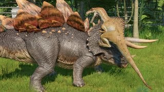 Stegoceratops VS Spinoraptor  Jurassic World Evolution [upl. by Arvell817]