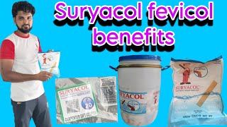 Suryacol fevicol benefits  token scanner  price  quality suryacol wood adhesive suryacol [upl. by Kokaras567]