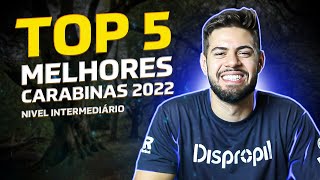 ✅ TOP 5 MELHORES CARABINAS de PRESSÃO em 2022 Nível Intermediário [upl. by Binnings480]