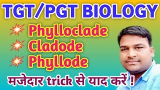 Phylloclade Cladode Phyllode  tricky biology  Difference between Phylloclade Cladode amp Phyllode [upl. by Gruchot]