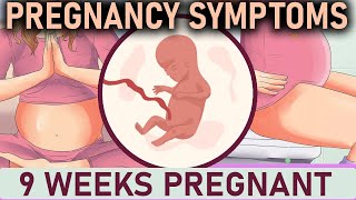 9 Weeks Pregnant  Pregnancy Symptoms [upl. by Ivanna754]