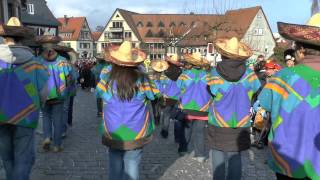 TaunusKarnevalszug in Oberursel 2014 [upl. by Eseenaj411]