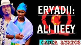 HEES CUSUBNimcaan Hillaac Iyo Ahmed Rasta Buuraha Surad Baa Udheer Lyrics 2020 [upl. by Ruskin]