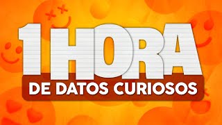 1 HORA de DATOS CURIOSOS y COSAS QUE NO SABÍAS ⏰😲 [upl. by Carol-Jean760]