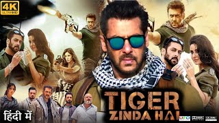 Tiger Zinda Hai Full Movie  Salman Khan  Katrina Kaif  Sajjad Delafrooz  Review amp Facts HD [upl. by Harima373]