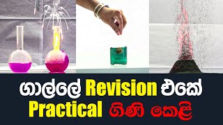 2024 Inorganic Chemistry සදහා ප්‍රායෝගික පරීක්ෂණ ආශ්‍රිත ප්‍රවේශයක් [upl. by Neelik]