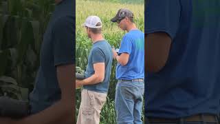 Drones spraying corn fields [upl. by Osnola987]