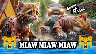 Miaw miaw miaw miaw Song sad story of a cat without a home FULL😭 cat aicat catlover cats [upl. by Erek]