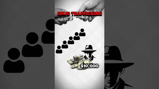 How Cartels Are Laundering Money Through Casinocartelsblackmoney casinomoneylaundringwhitemoney [upl. by Yhtomot]