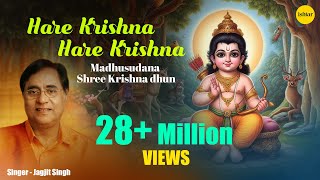 Ram Navmi Special  Hare Ram Hare Krishna  Jagjit Singh  Keshwa Madhwa  Shri Krishna  Ram Dhun [upl. by Yelnats]