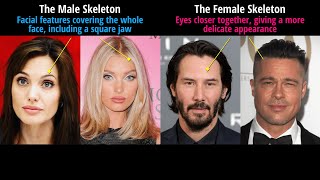 Hollywood Gender Transvestigation Exposed [upl. by Ahselat]