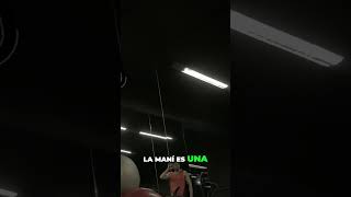 Descubre cómo la Maní puede guiarte hacia la felicidad y el bienestar magiadelcaos genetica gym [upl. by Wester256]