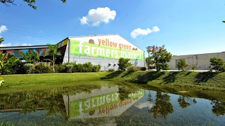 Yellow Green Farmers Market [upl. by Merce]