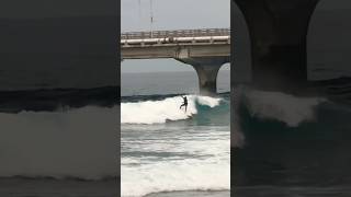 Surfing 🏄‍♀️ maldives youtubeshorts surf malecity [upl. by Einahpit159]